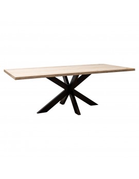 Esstisch massiv Steinplatte, Tisch Naturstein modern, Breite 230 cm