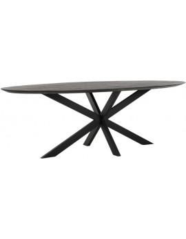 Esstisch Altholz, Esstisch schwarz, Esstisch Industriedesign, ovaler Konferenztisch, recyceltes Teakholz, Breite 240 cm