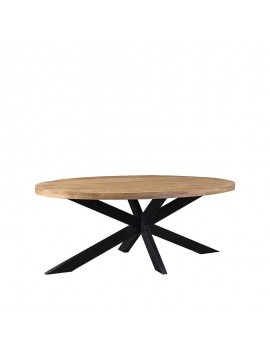 Ovaler Tisch Naturholz, Tisch oval, ovaler Esstisch Massivholz, Breite 240 cm