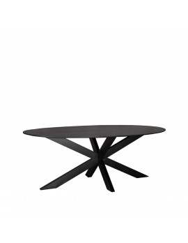 Ovaler Tisch schwarz, Tisch schwarz oval, ovaler Esstisch schwarz, Breite 210 cm